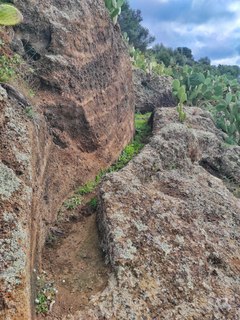 Rocchicella